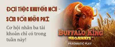 Trải Nghiệm Đẳng Cấp Quốc Tế